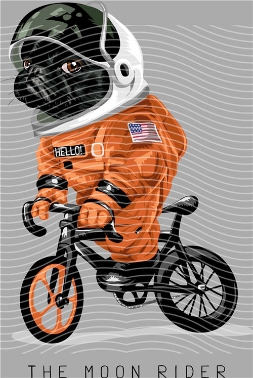 Best selling design-CX 2444